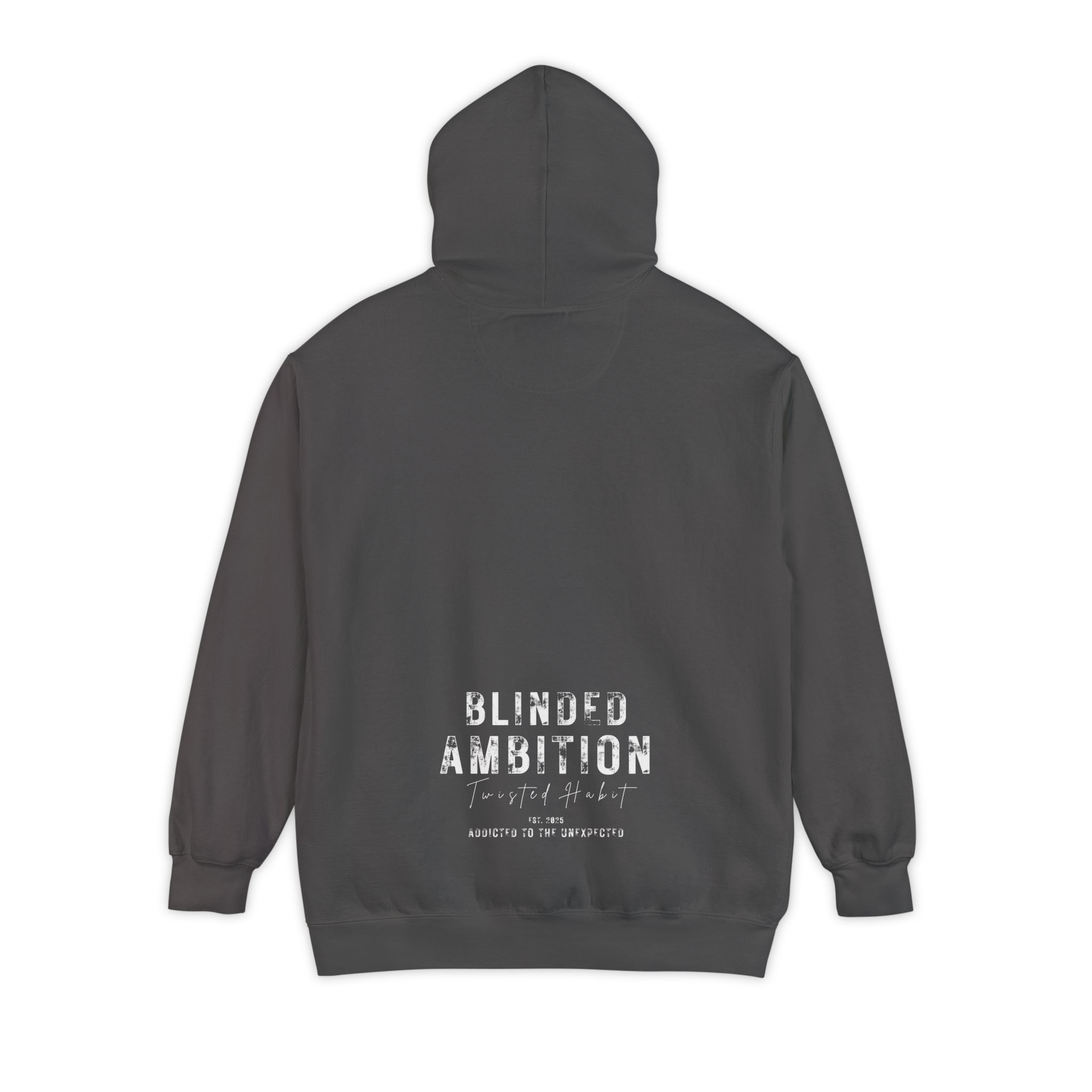 Blinded Ambition Hoodie - Image 3